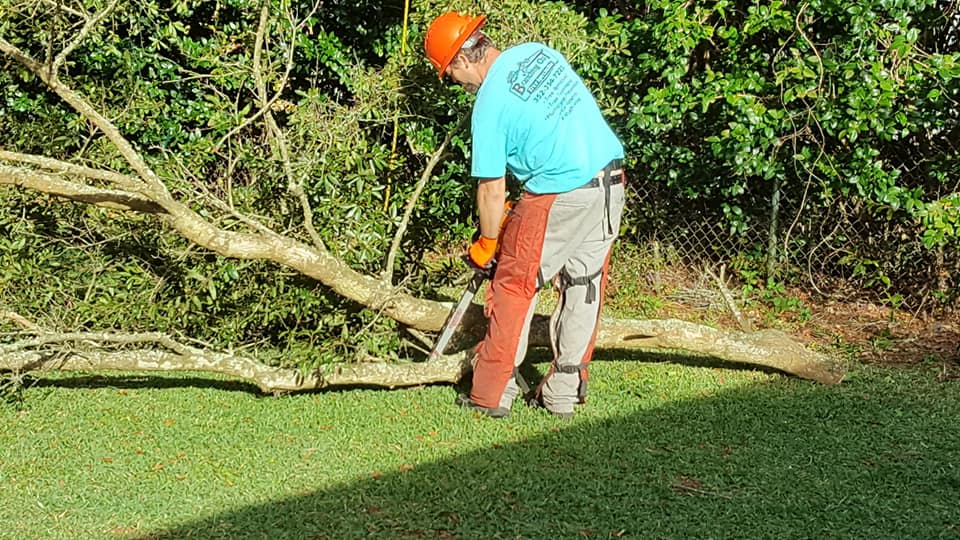 Emergency Tree Service