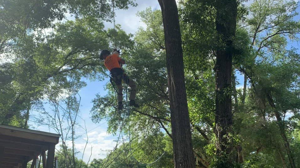 Tree Preservation