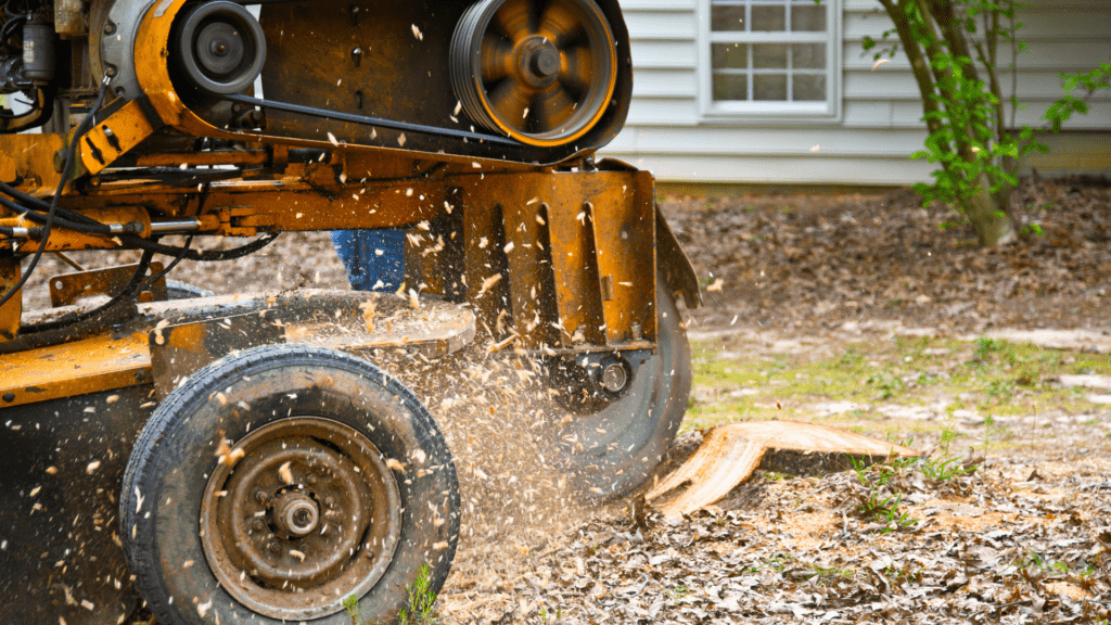 Stump Grinding