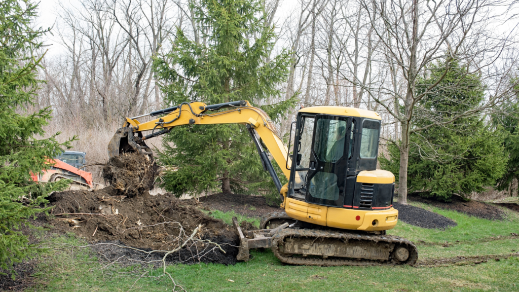 Tree Removal in Belleview