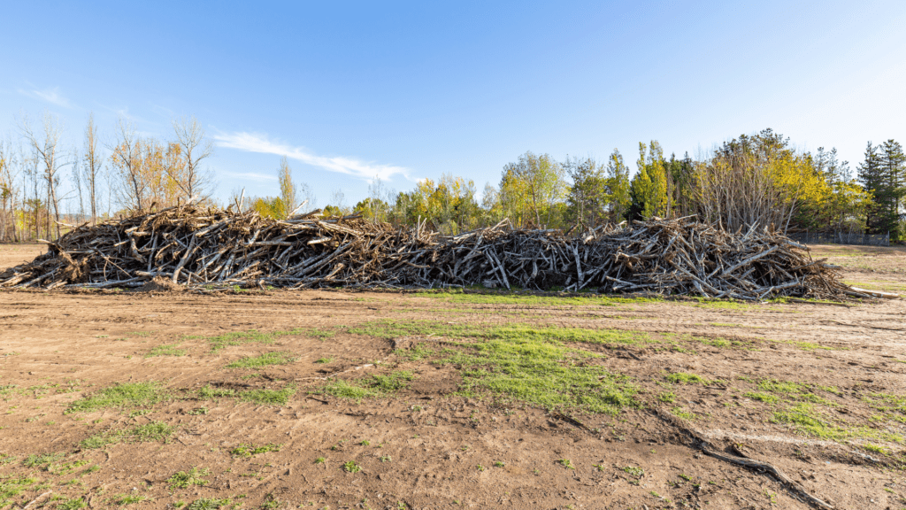 Land Clearing