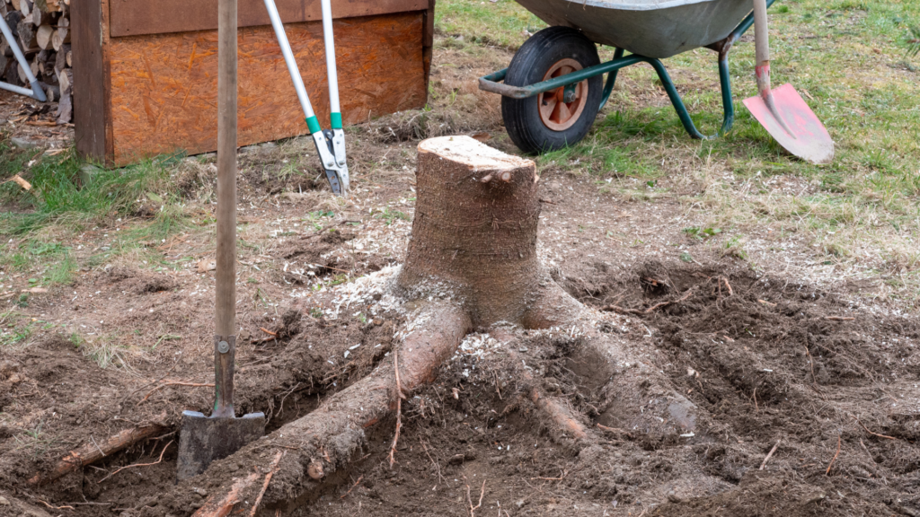 Stump Removal