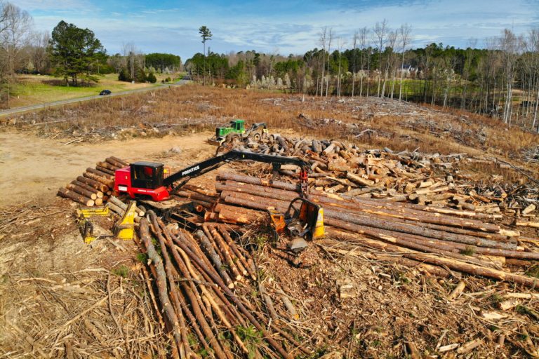 Lot Clearing Services in Belleview: Why You Might Need Them