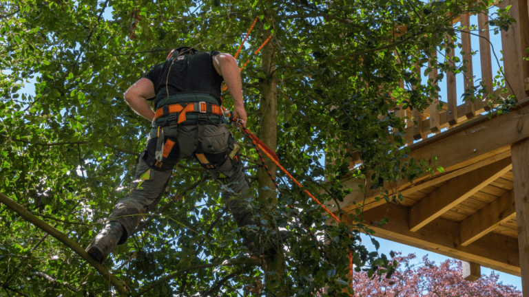 Tree Pruning in Belleview: Best Practices and Benefits