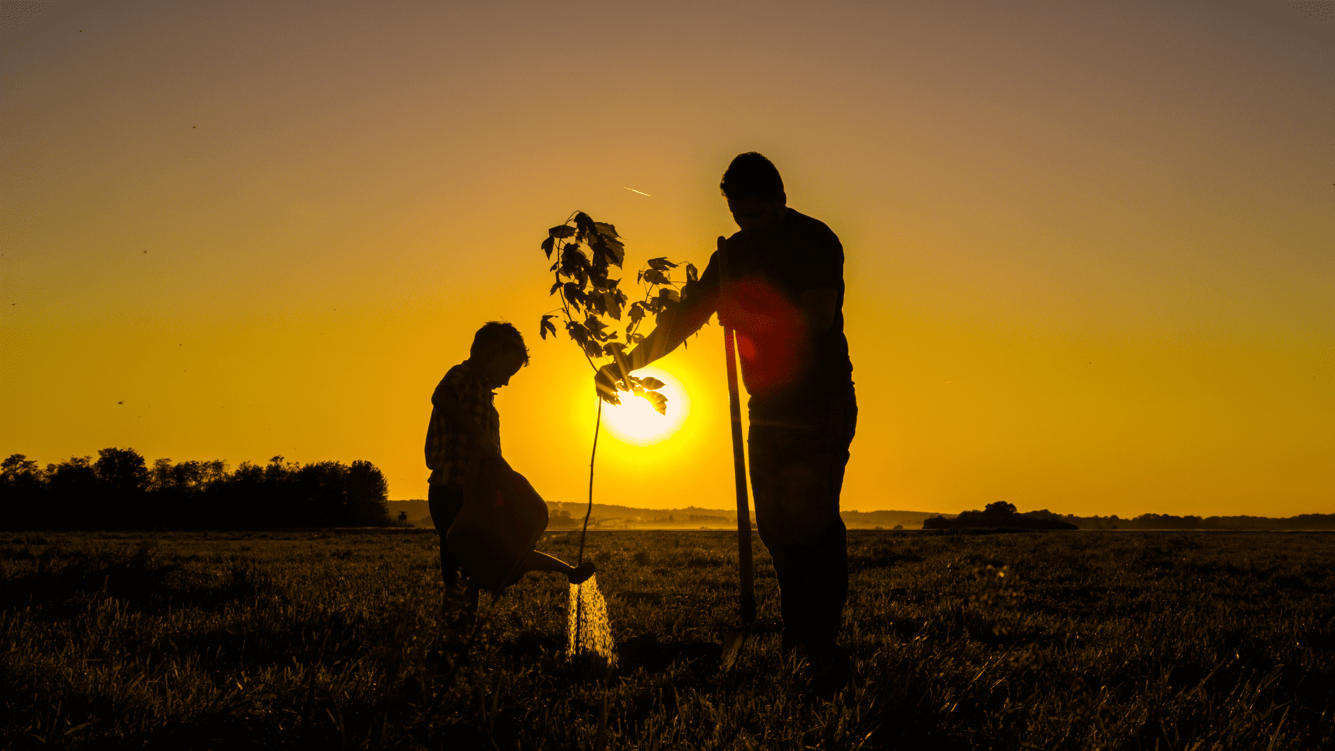 Tree Planting